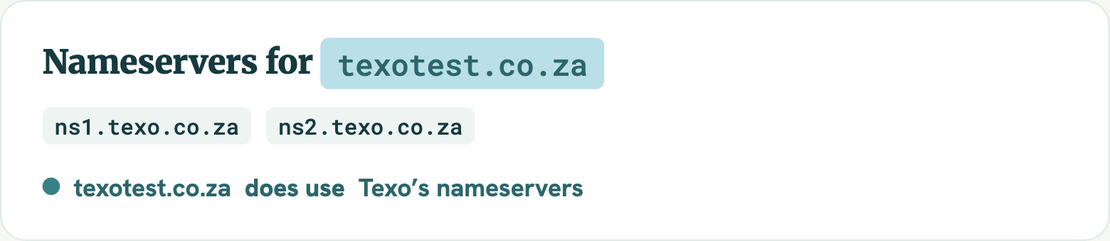 Nameservers card showing Texo ns1 and ns2