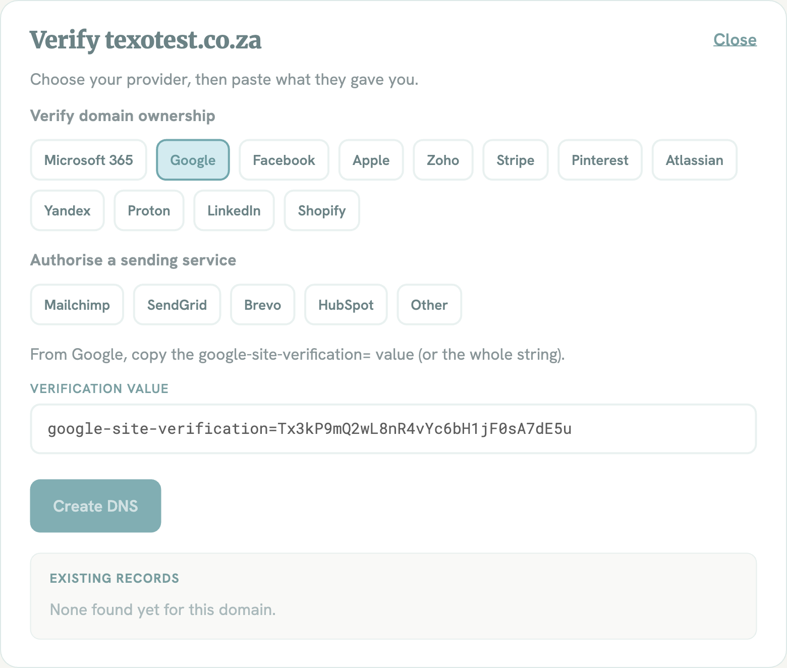 Google domain ownership form in the DNS Wizard