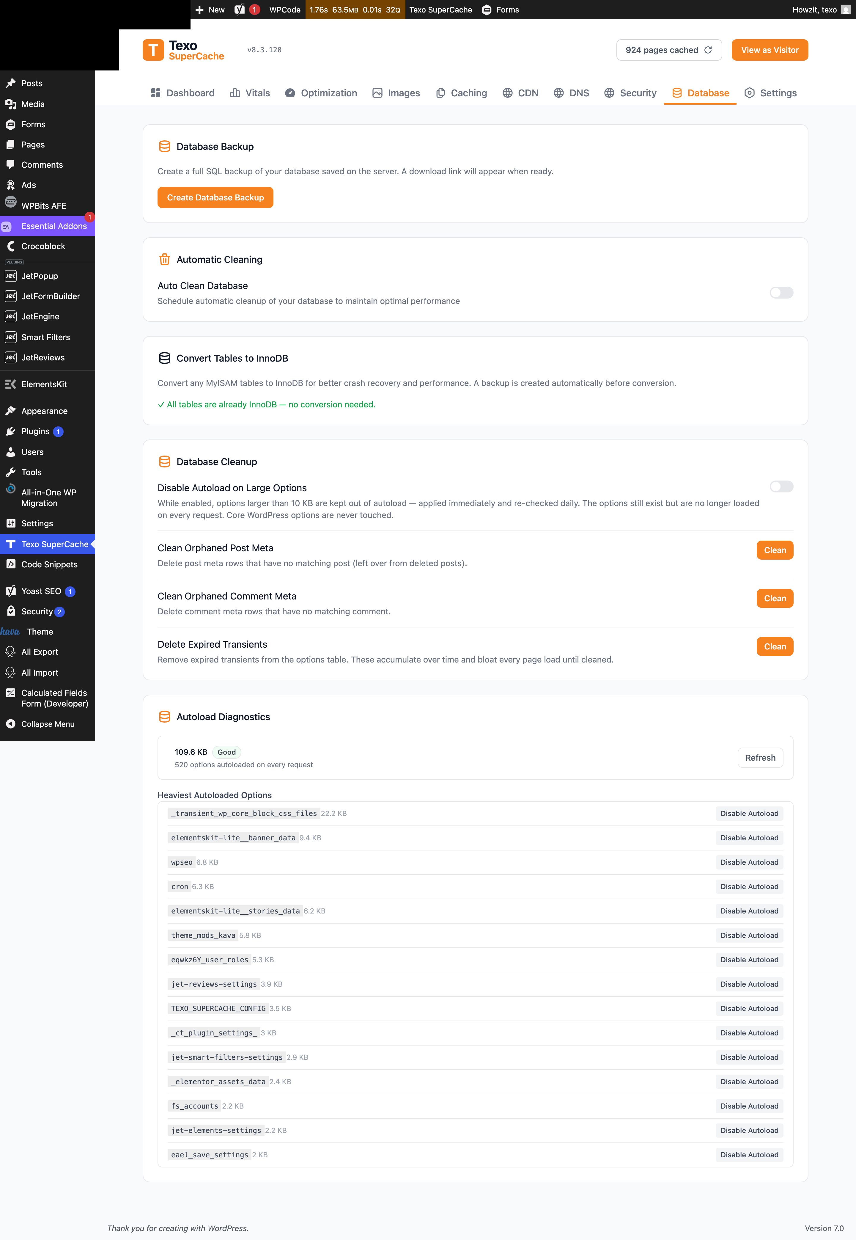 Texo SuperCache Database tab