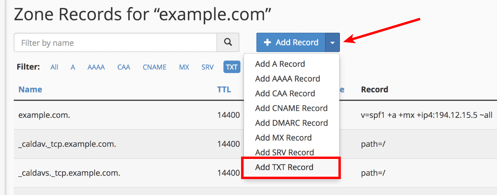 DNS Zone Editor Add TXT Record